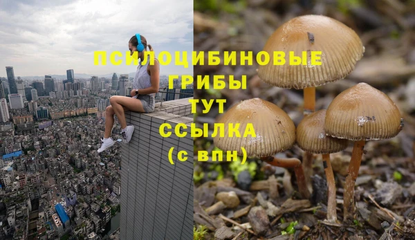 гидропоника Тавда